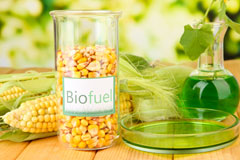 Dyffryn Bern biofuel availability