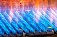 Dyffryn Bern gas fired boilers